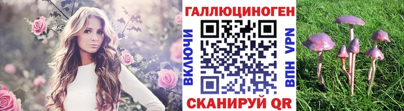 где найти наркотики  Среднеколымск  Псилоцибиновые грибы Psilocybine cubensis 